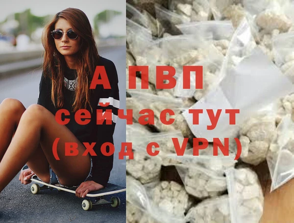 Альфа ПВП Зеленокумск